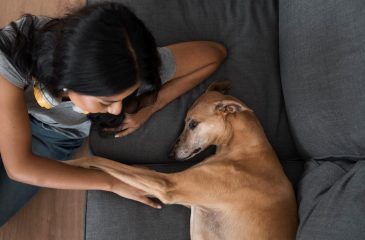 ¿Por qué la pérdida de una mascota es similar a la pérdida de un ser querido?